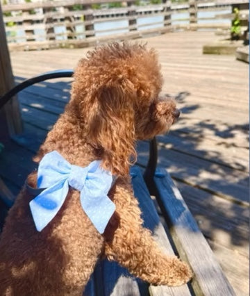 Nibi’s Blue Sailor Bow