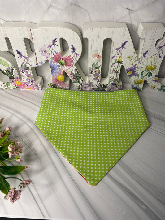 Strawberry Daisy Reversible Pet Bandana