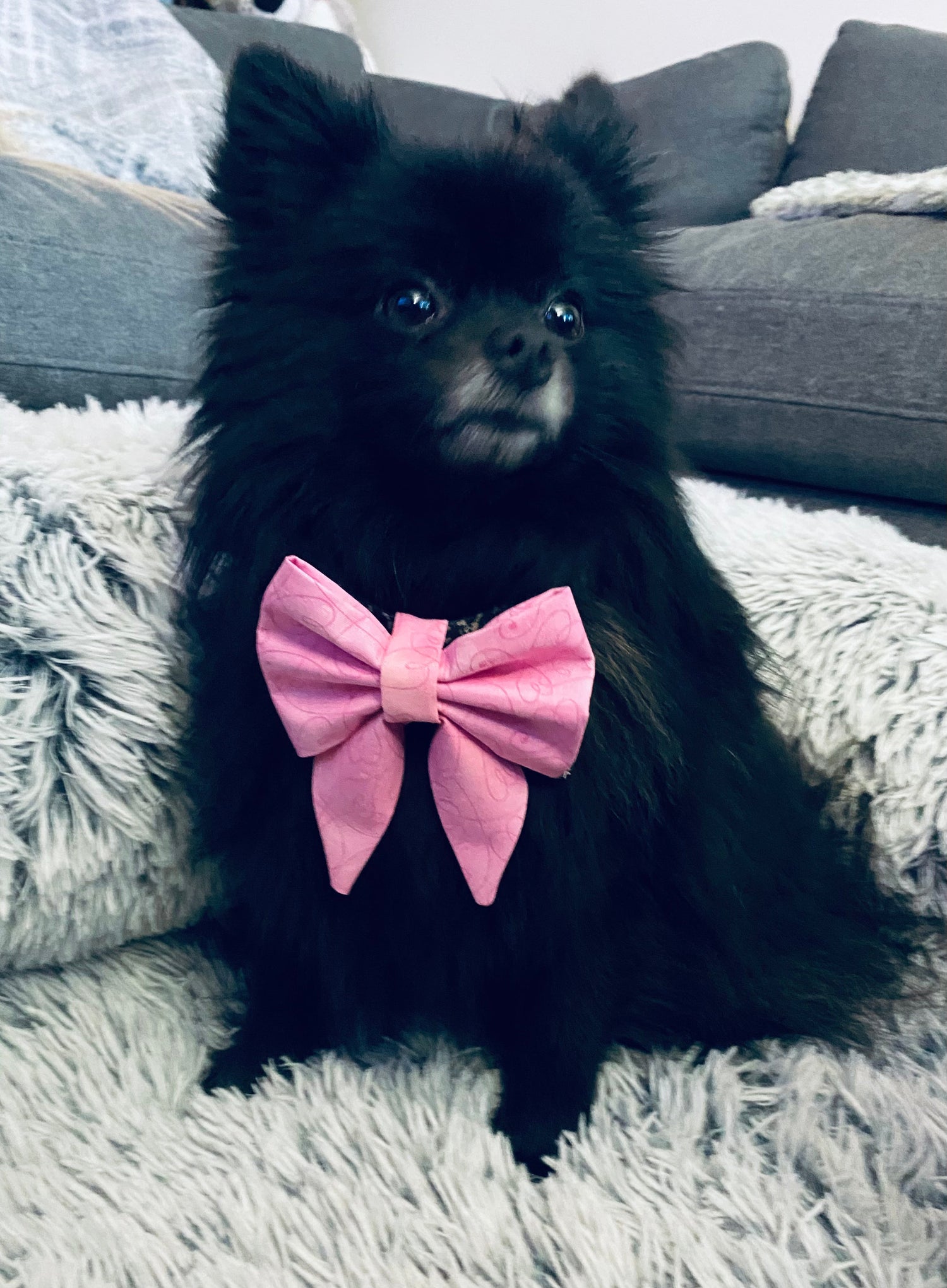 Bows
