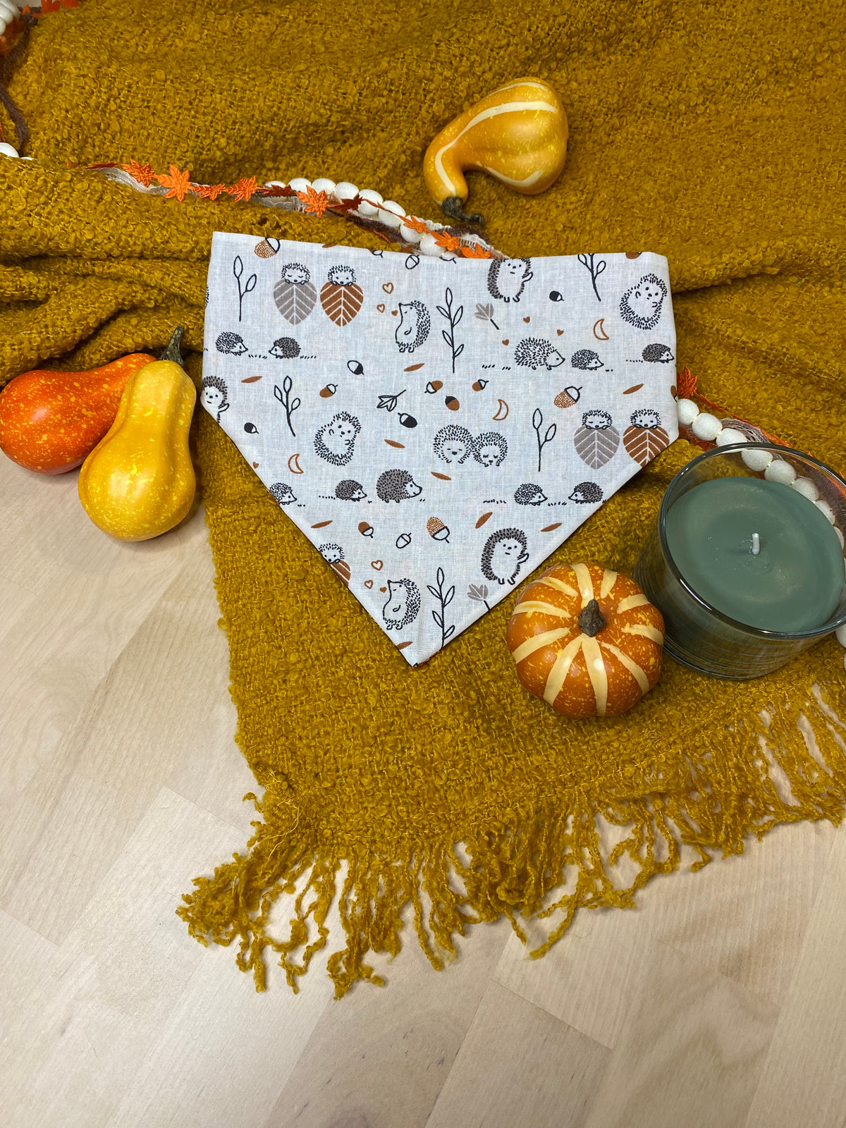 Hedgehogs & Leaves Reversible Pet Bandana