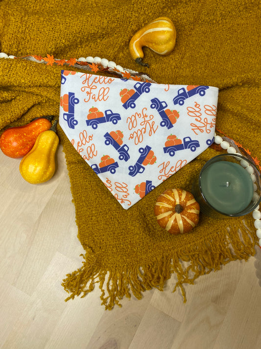 Hello Fall Reversible Pet Bandana