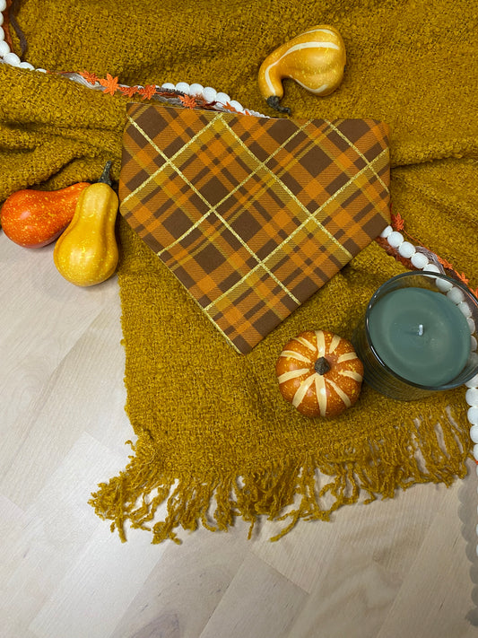 Pumpkin Spice Reversible Pet Bandana