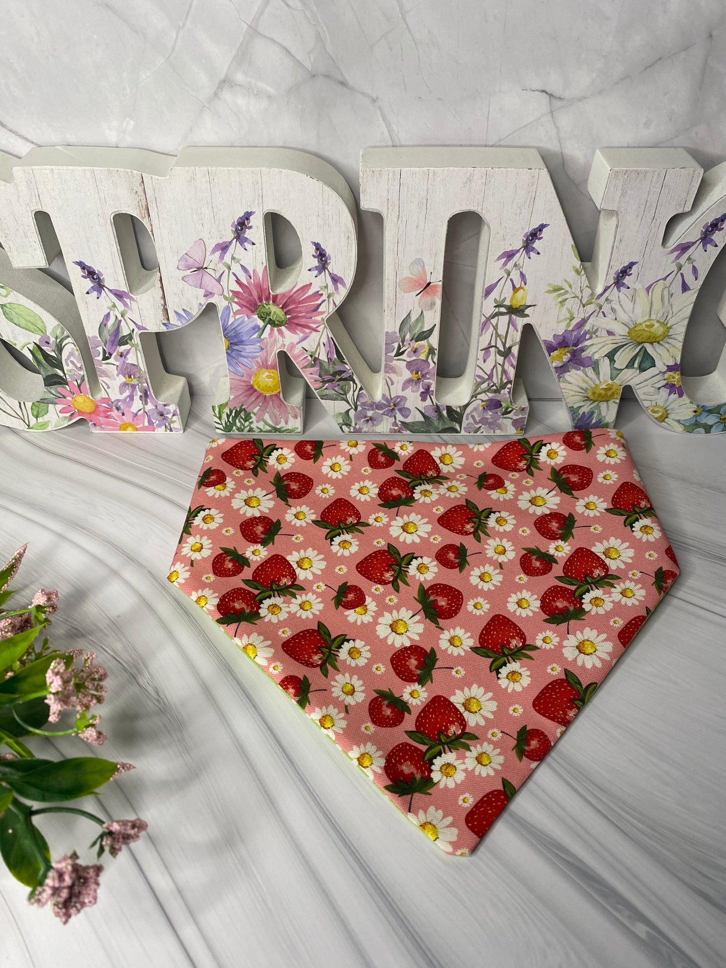Strawberry Daisy Reversible Pet Bandana