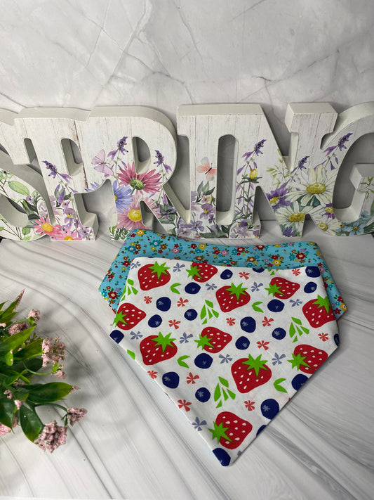Summer Berry Reversible Pet Bandana