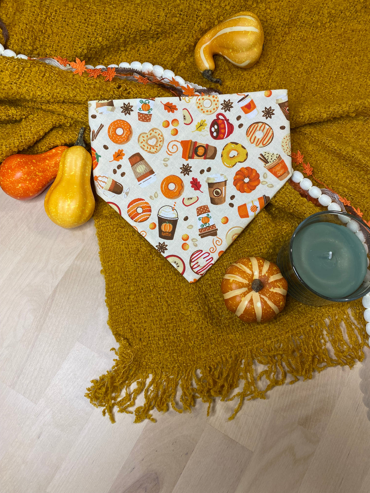 Pumpkin Spice Reversible Pet Bandana