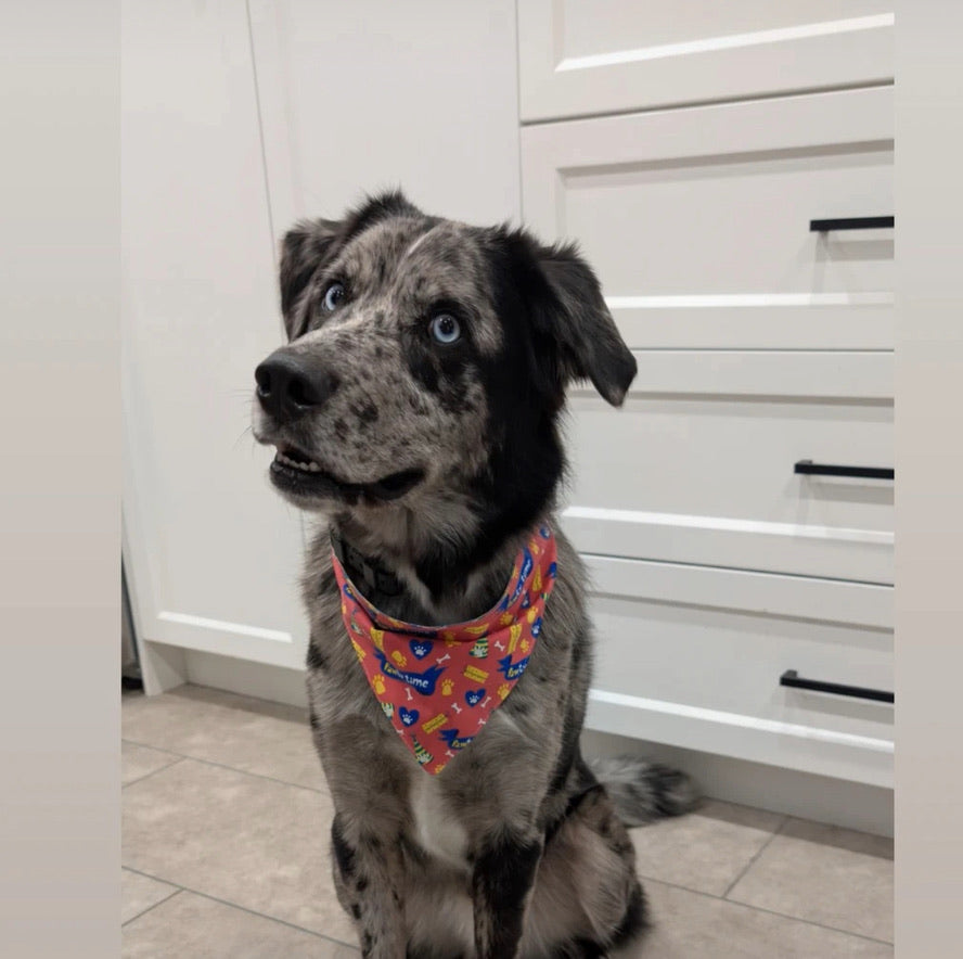 Party Time Reversible Bandana