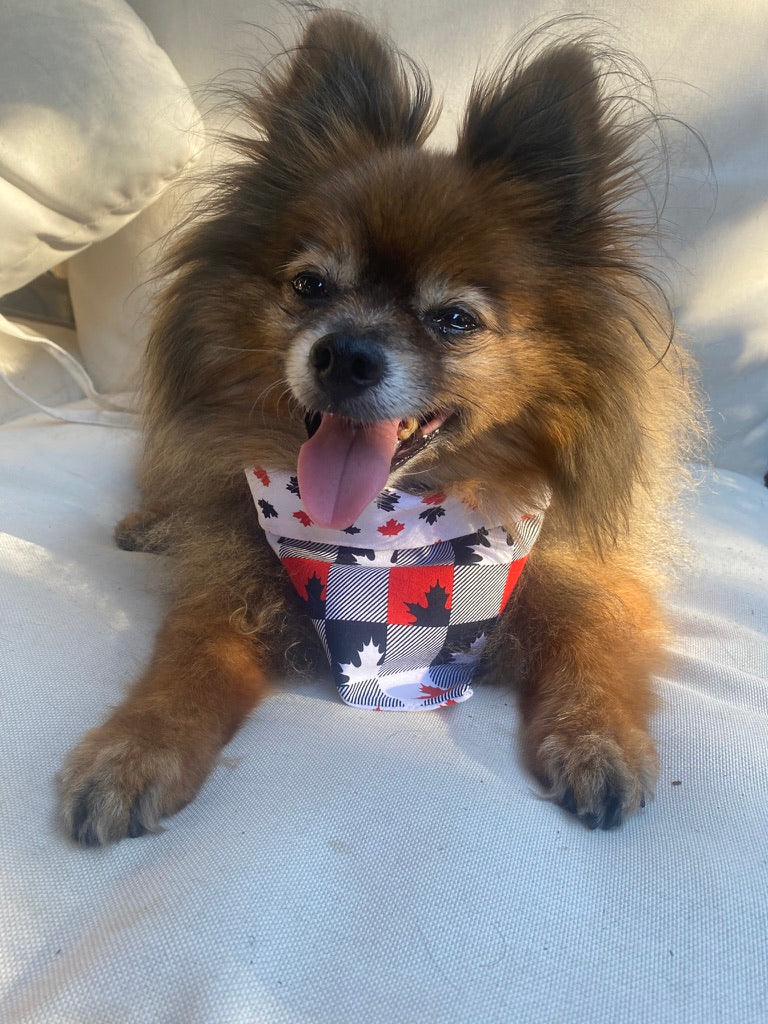 Maple Leaf Plaid Reversible Bandana