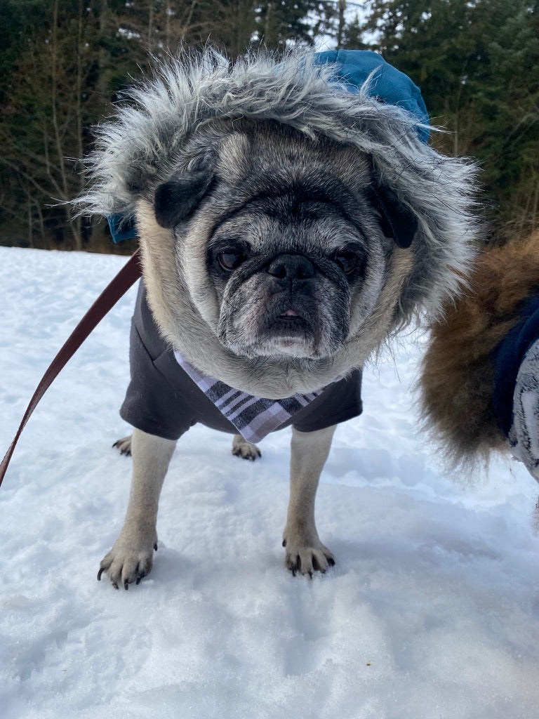Snowflake Pet Fleece Bandana
