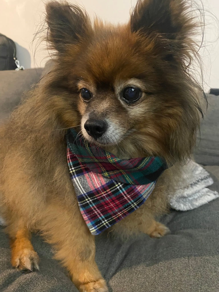 Plaid Pet Fleece Bandana
