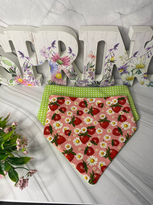 Strawberry Daisy Reversible Pet Bandana