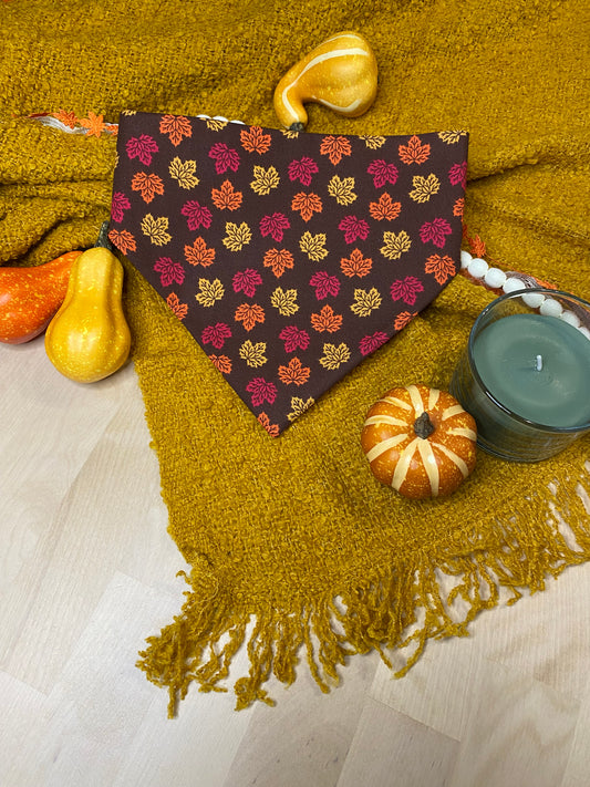 Hedgehogs & Leaves Reversible Pet Bandana