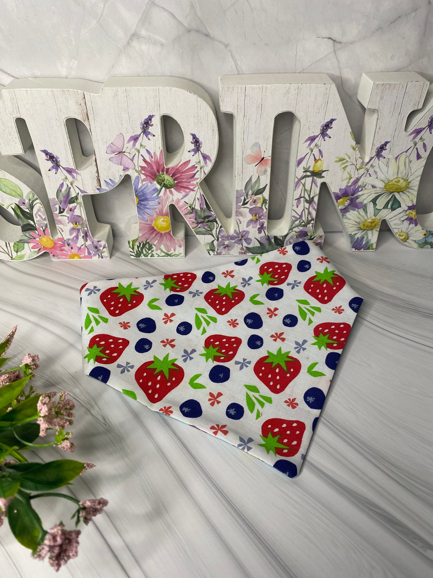 Summer Berry Reversible Pet Bandana