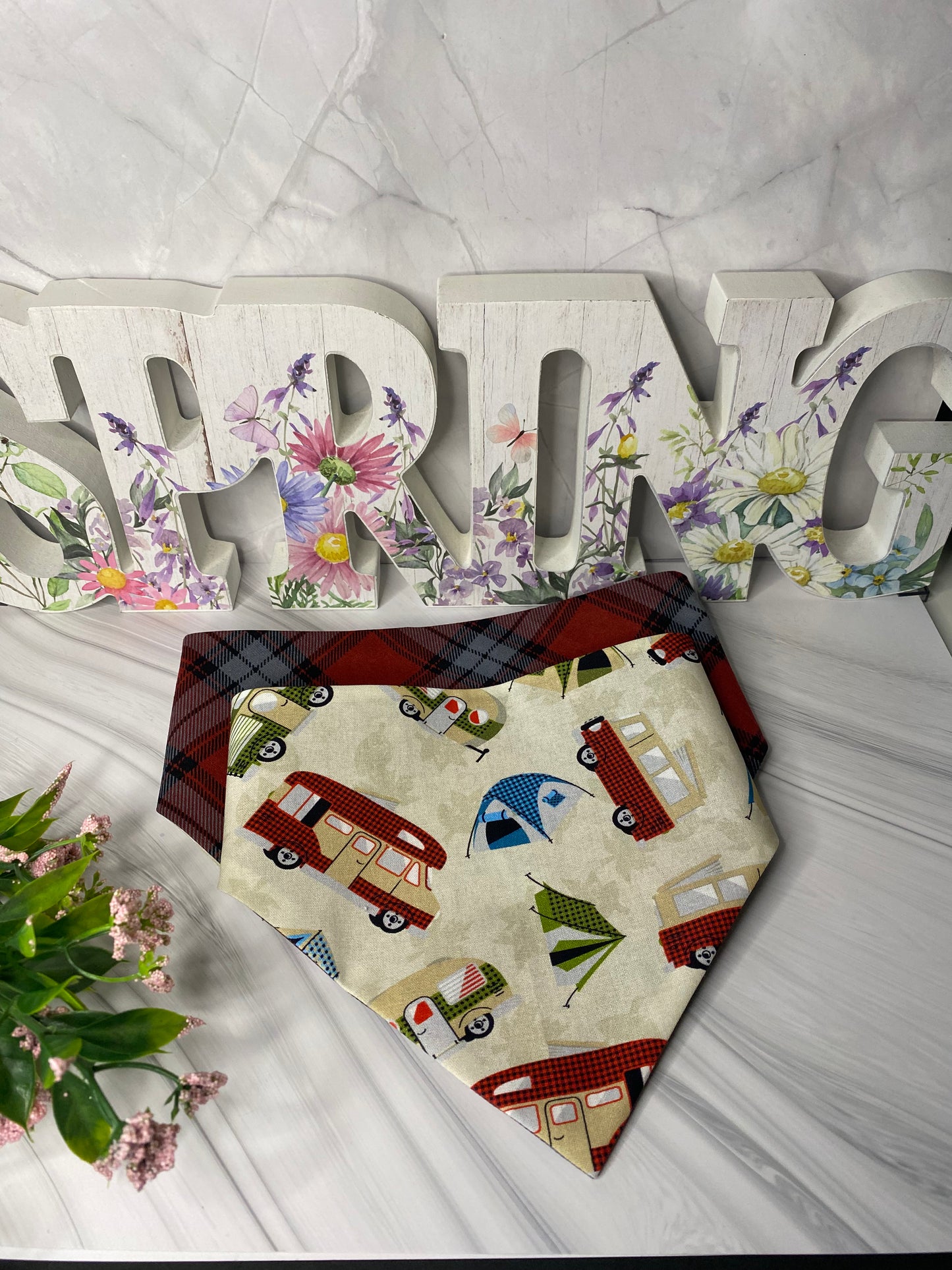 Camping  Reversible Pet Bandana