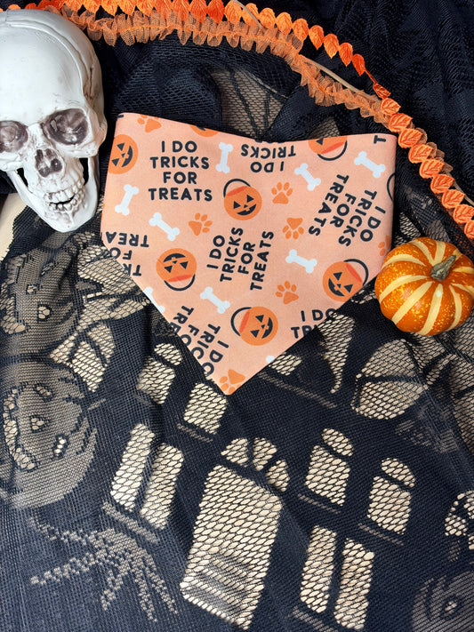 Tricks for Treats Reversible Pet Bandana
