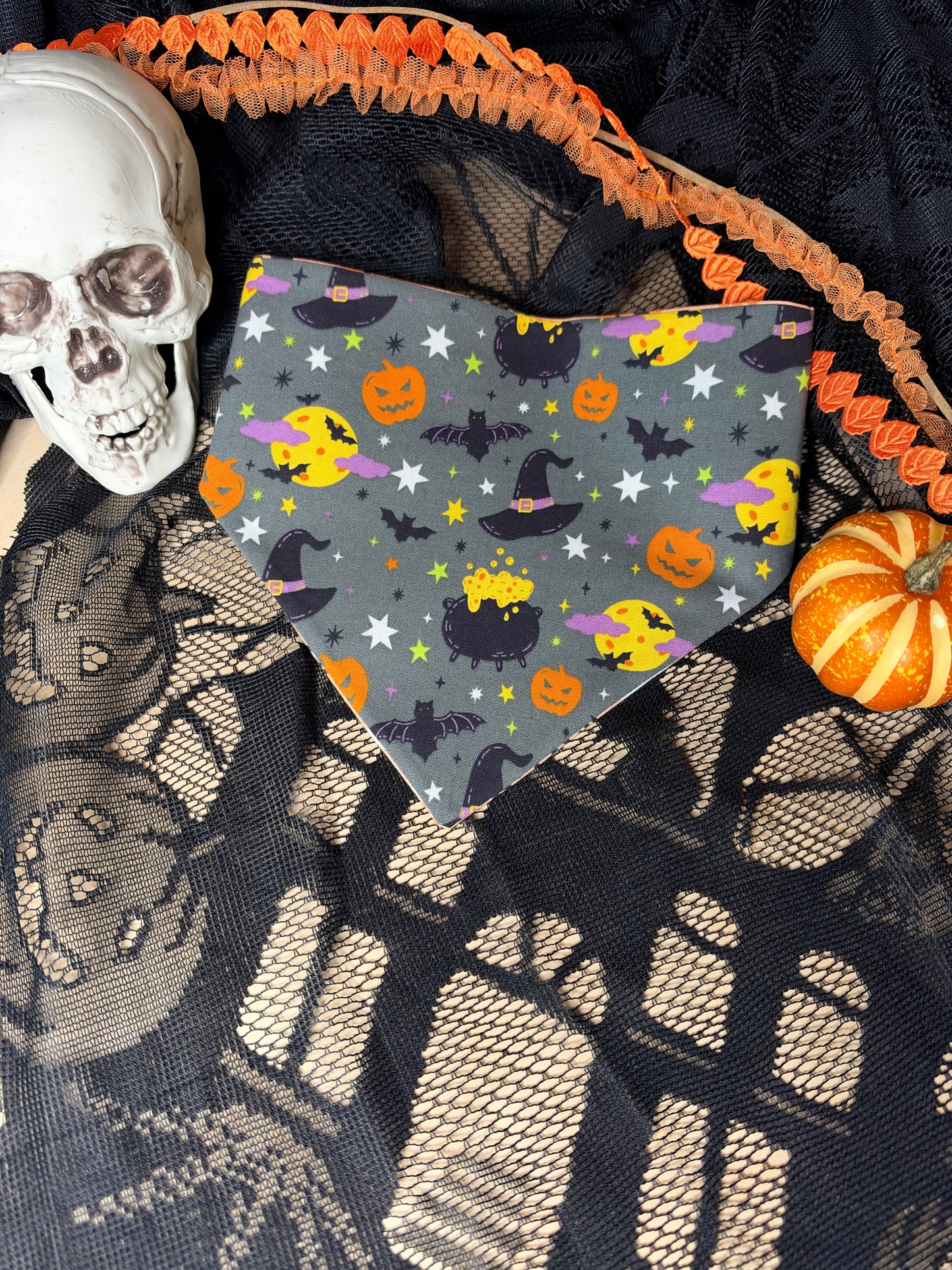 Tricks for Treats Reversible Pet Bandana