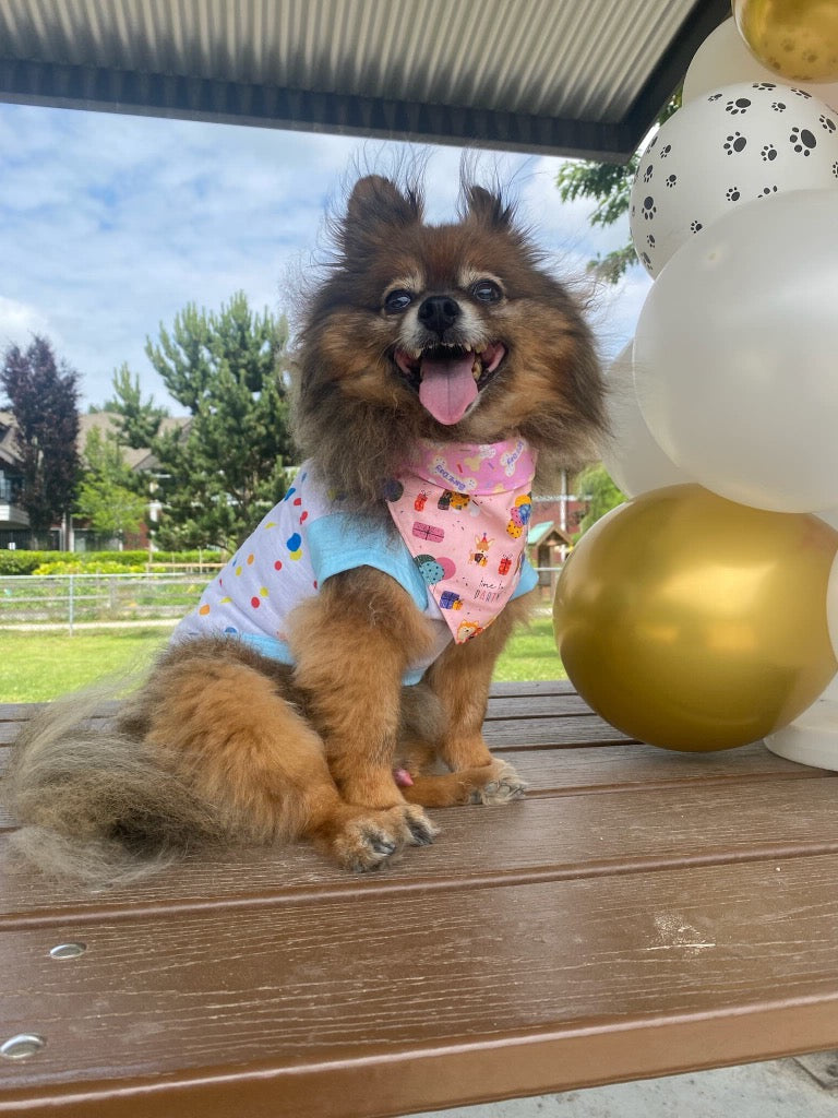 Party Reversible Bandana